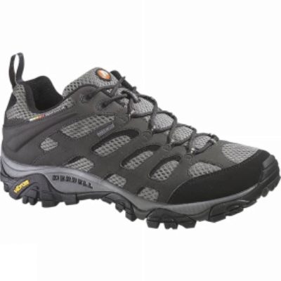 Womens Moab GTX Shoe Womens Moab GTX Shoe